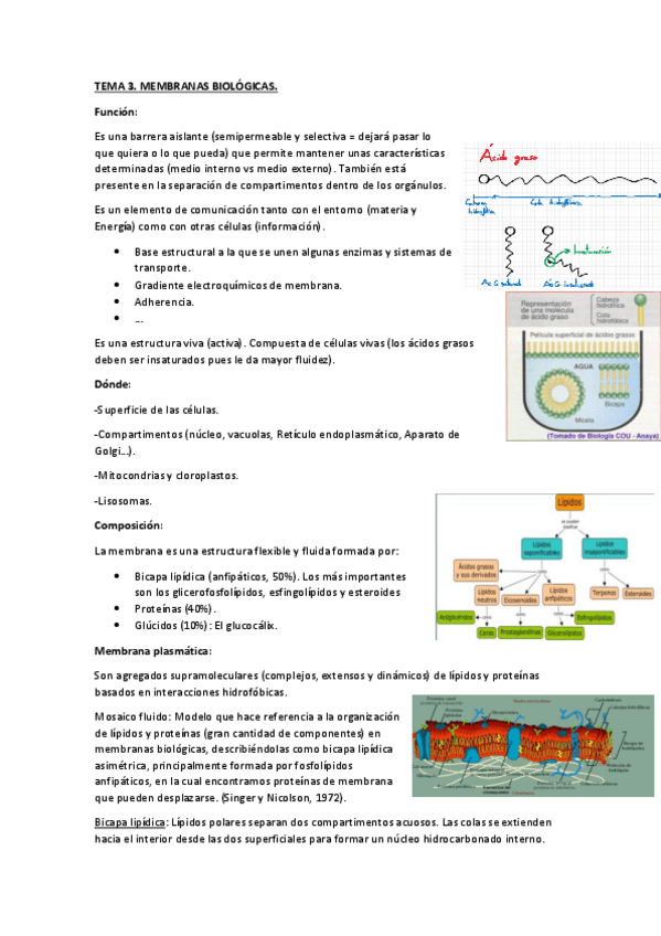 Miniatura del documento T3.pdf