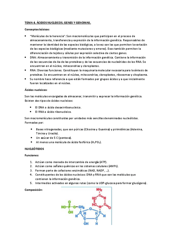 Miniatura del documento T4.pdf