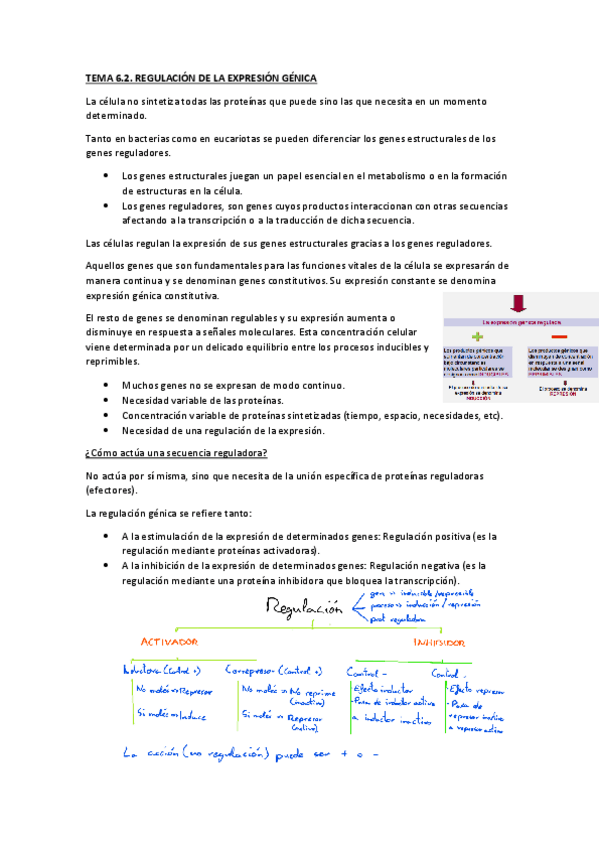 Miniatura del documento T6.2.pdf