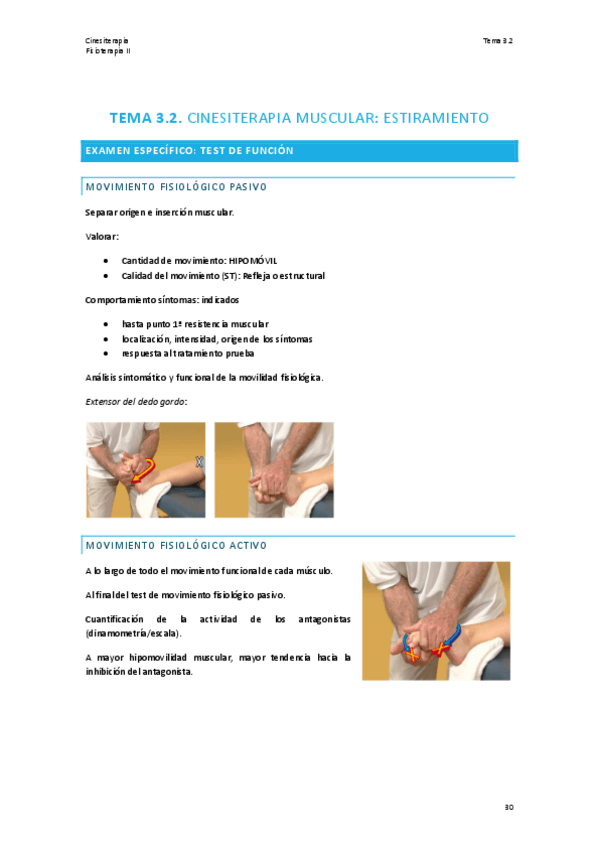 Miniatura del documento TEMA-3.2.-CINESITERAPIA.pdf