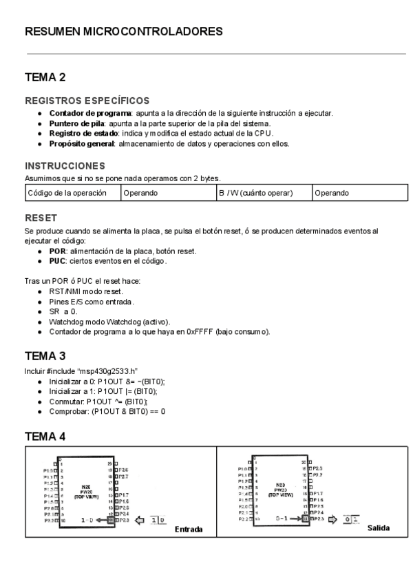 Miniatura del documento RESUMEN-MICRO.pdf
