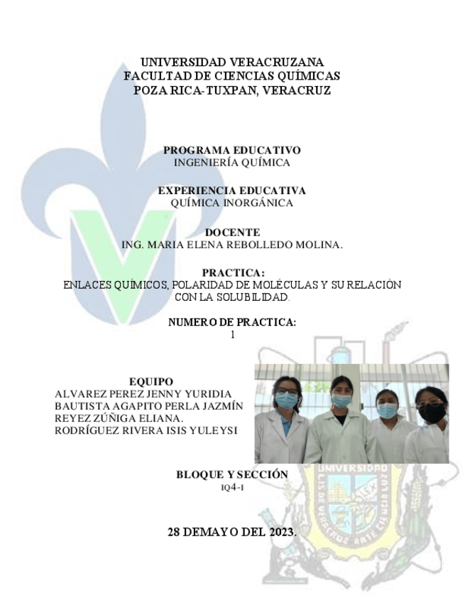 Miniatura del documento Practica-1-Solubilidad..pdf