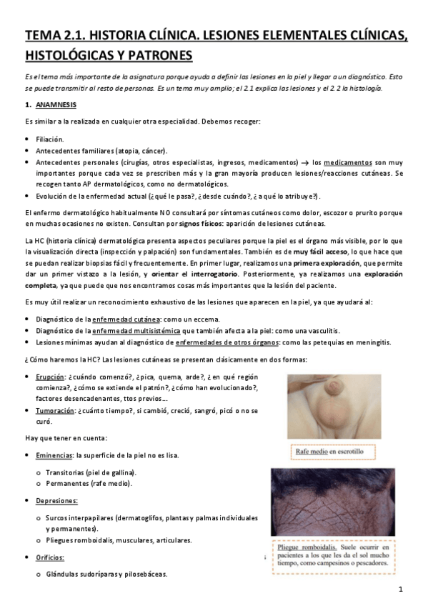Miniatura del documento TEMA-2.1.-HISTORIA-CLINICA.-LESIONES-ELEMENTALES-CLINICAS-HISTOLOGICAS-Y-PATRONES.pdf