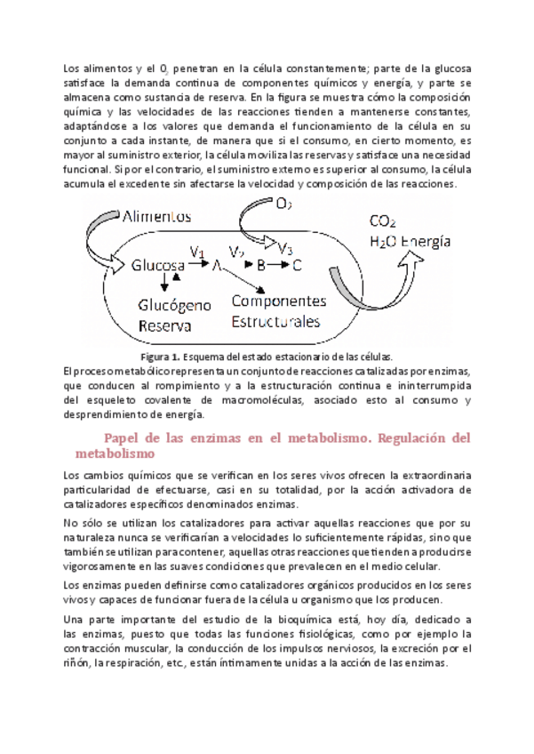 Miniatura del documento Bioquimica-III.pdf