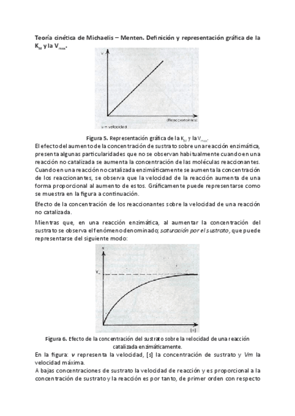Miniatura del documento Bioquimica-V.pdf