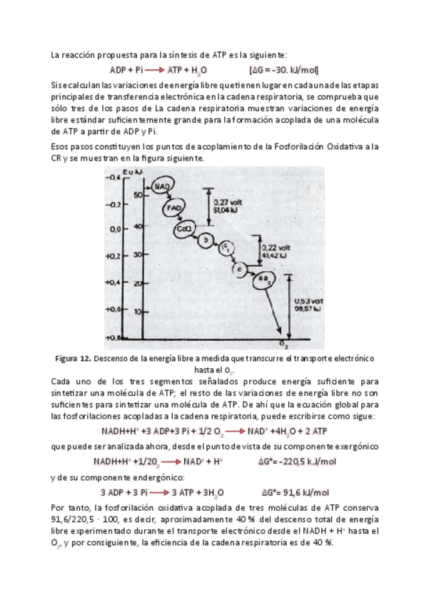 Miniatura del documento Bioquimica-X.pdf