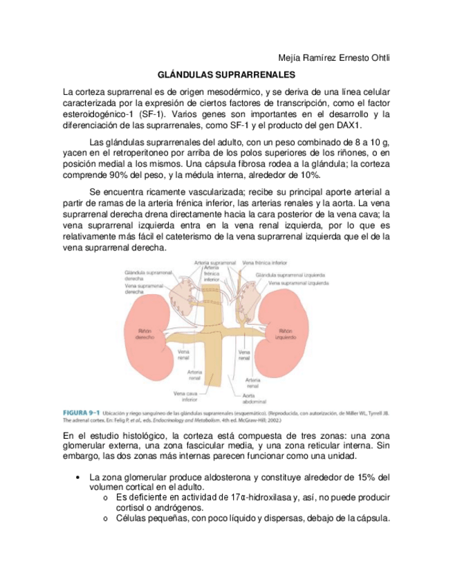 Miniatura del documento Esteroidogenesis-Glandulas-suprarrenales.pdf