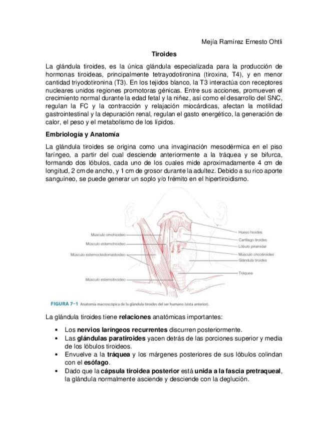 Miniatura del documento Tiroides-Endocrino.pdf
