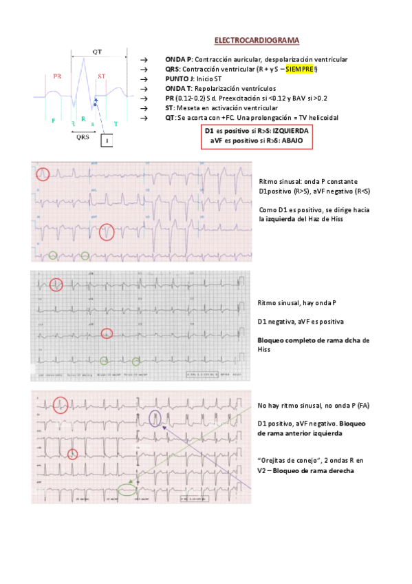 Miniatura del documento APUNTES-ECG.pdf