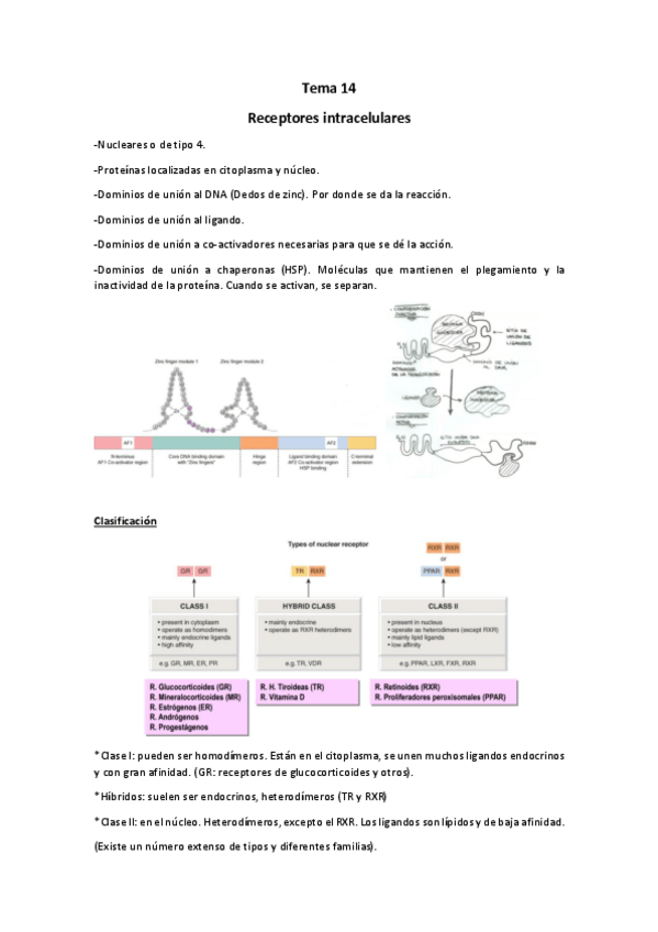 Miniatura del documento Tema 14.pdf