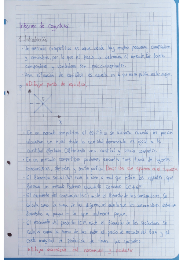 Miniatura del documento Informe-de-coyuntura-Introduccion.pdf