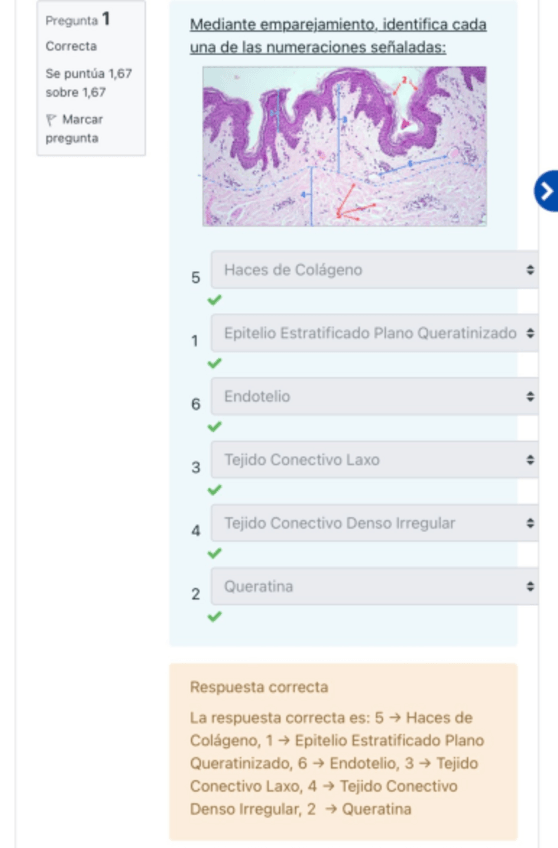 Miniatura del documento Practico-Extraordinaria-2223-TABRAUE.pdf