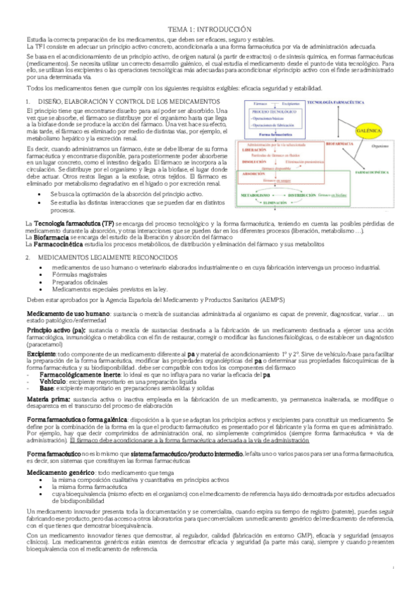 Miniatura del documento TFI-1-parcial.pdf