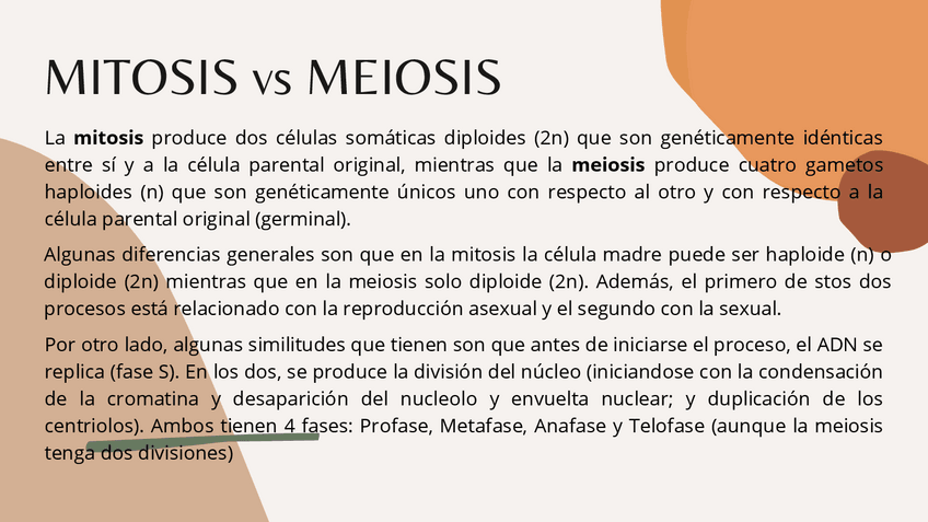 Miniatura del documento MITOSIS-vs-MEIOSIS.pdf