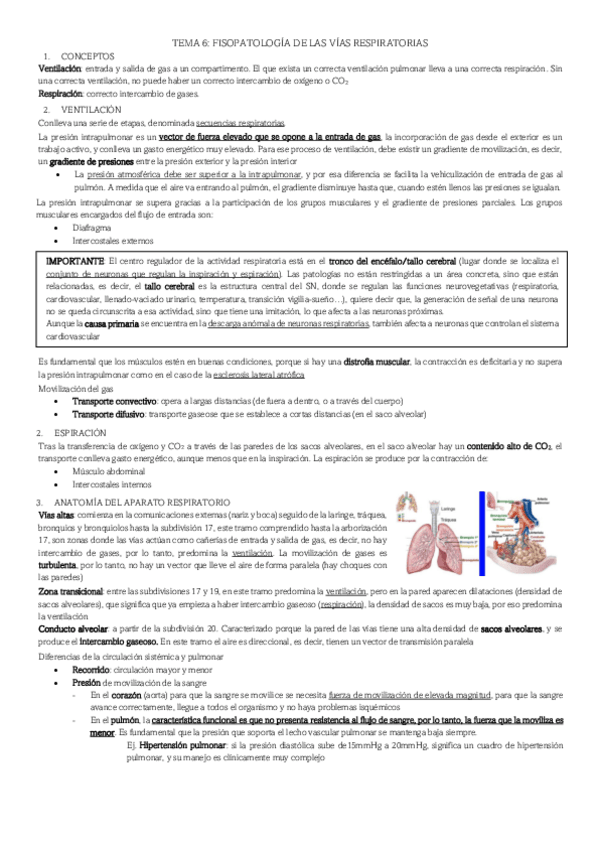 Miniatura del documento FISIOPATOLOGIA-DE-LAS-VIAS-RESPIRATORIAS.pdf