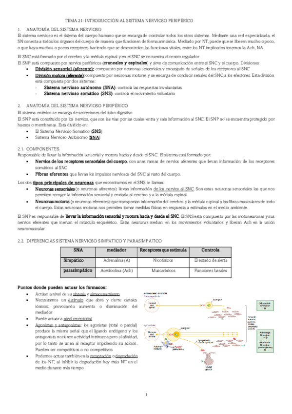 Miniatura del documento COLINERGICOS.pdf
