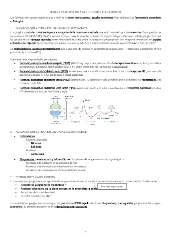Miniatura del documento PLACA-MOTORA-Y-ADRENERGICO.pdf