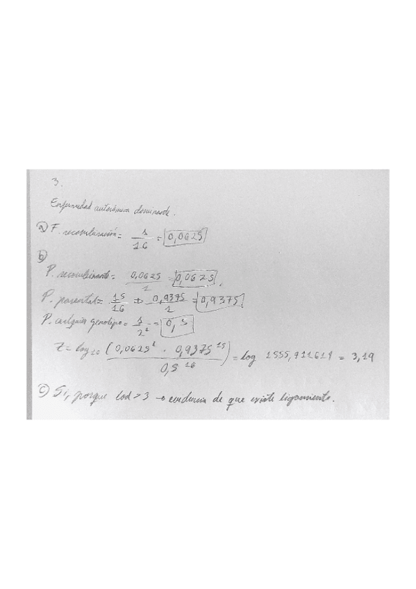 Miniatura del documento 3.pdf