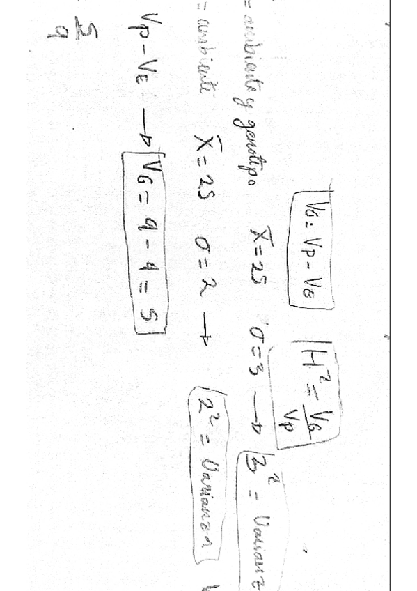 Miniatura del documento 4.pdf
