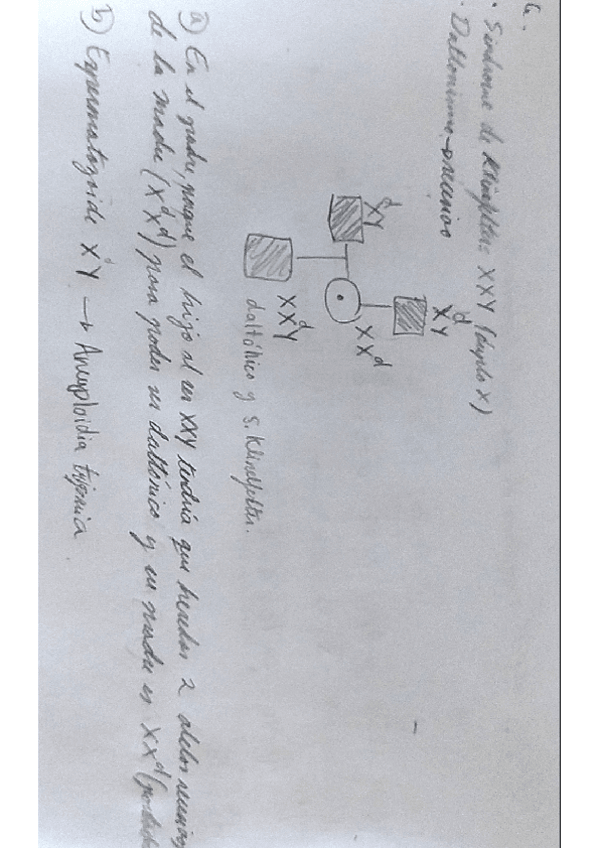 Miniatura del documento 5.pdf