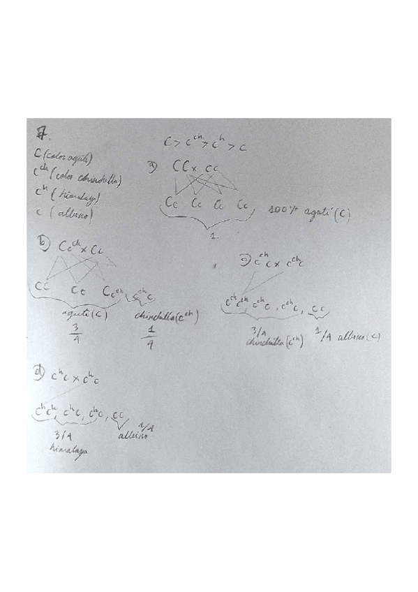 Miniatura del documento 7.pdf