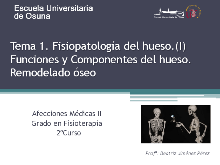 Miniatura del documento Tema-1-AMIIAPUNTES.pdf