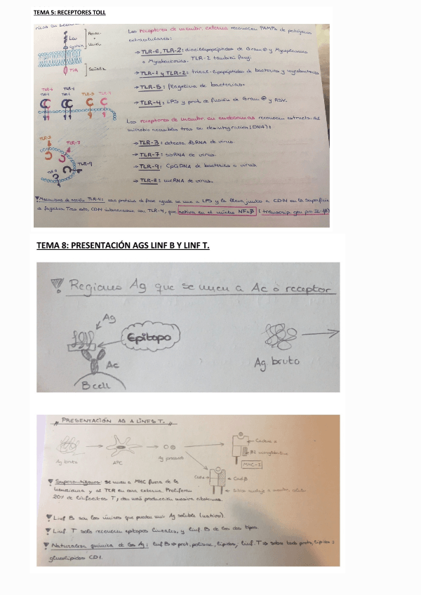 Miniatura del documento Conceptos-importantes-examen.pdf