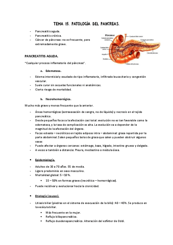 Miniatura del documento Apuntes 15 Adulto II.pdf