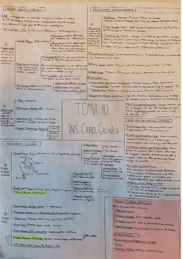 Miniatura del documento Fisiopato-T10-28-Esquemascompressed.pdf
