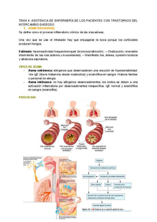 Miniatura del documento TEMA-4-ASISTENCIA-DE-ENFERMERIA-DE-LOS-PACIENTES-CON-TRASTORNOS-DEL-INTERCAMBIO-GASEOSO.pdf
