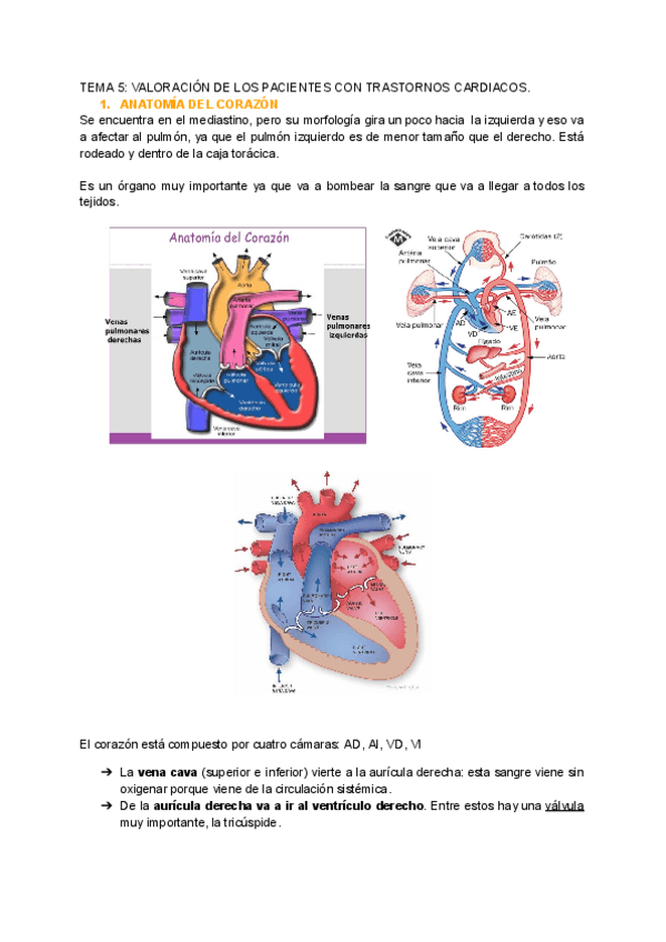 Miniatura del documento TEMA-5-VALORACION-DE-LOS-PACIENTES-CON-TRASTORNOS-CARDIACOS.pdf