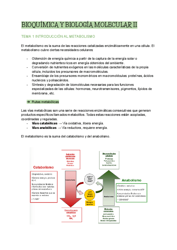 Miniatura del documento todo-primera-parte.pdf