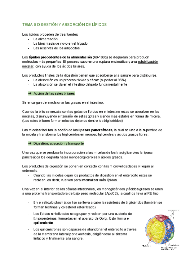 Miniatura del documento todo-segunda-parte.pdf