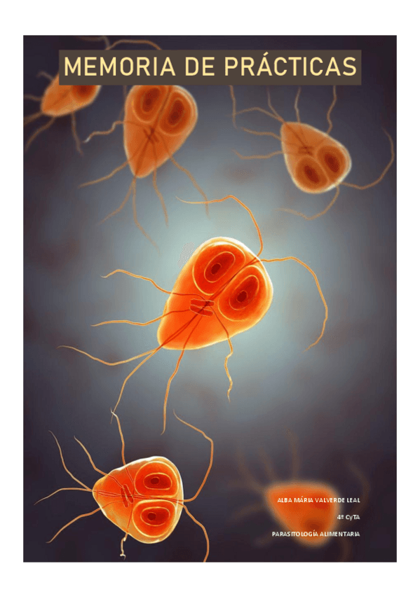 Miniatura del documento MEMORIA-DE-PRACTICAS.pdf