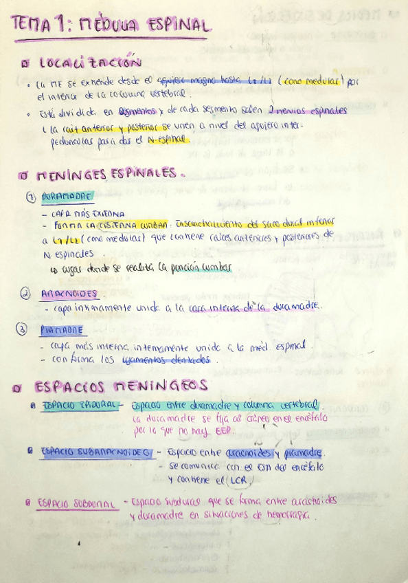 Miniatura del documento APUNTES-NEUROANATO-COMPLETOS.pdf