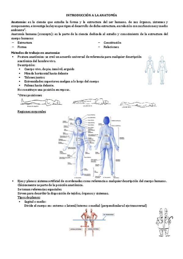 Miniatura del documento 1.INTRODUCCION-A-LA-ANATOMIA.pdf