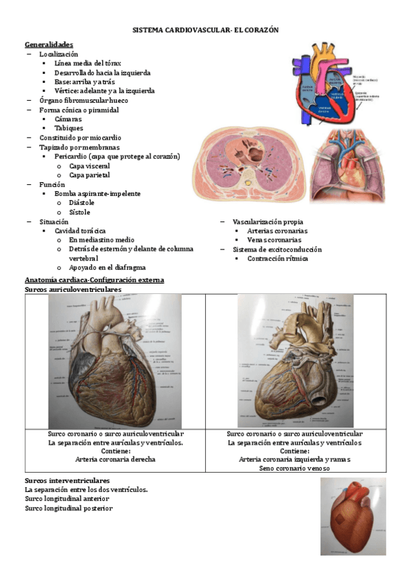 Miniatura del documento 7.-SISTEMA-CARDIOVASCULAR.pdf
