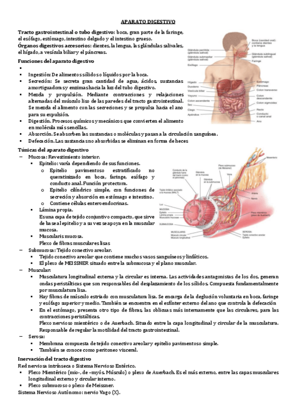 Miniatura del documento 9.-APARATO-DIGESTIVO.pdf