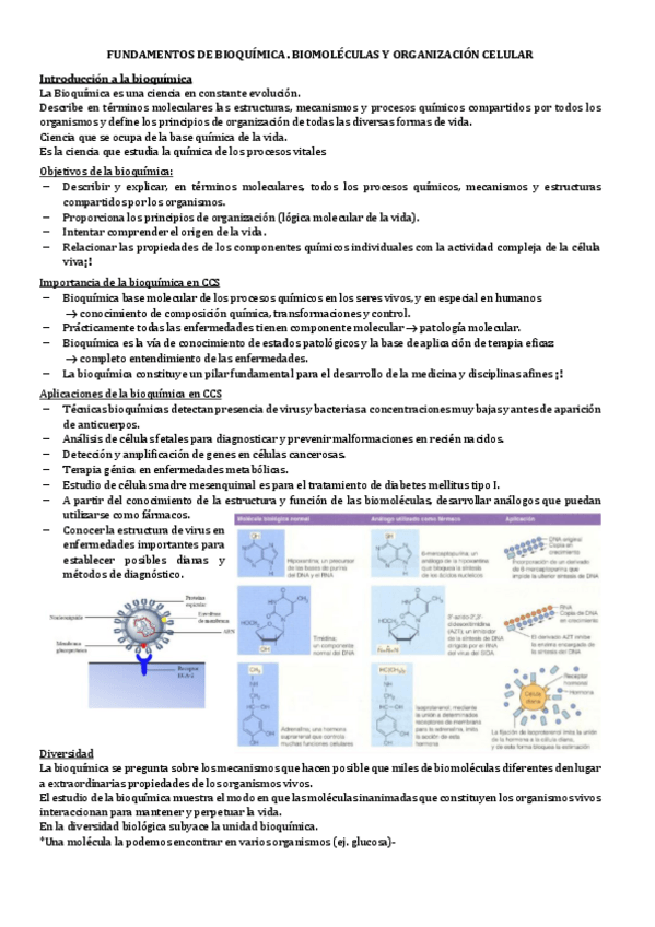 Miniatura del documento 1.-FUNDAMENTOS-DE-BIOQUIMICA.pdf