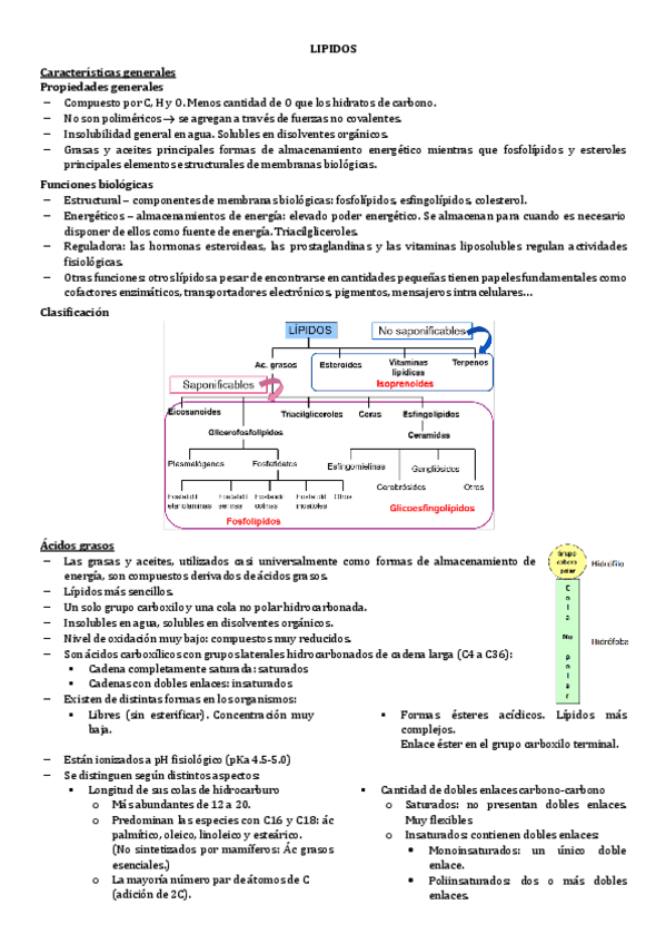 Miniatura del documento 7.-LIPIDOS.pdf