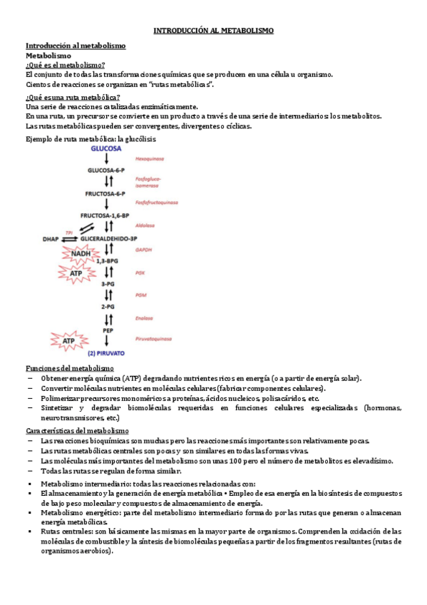 Miniatura del documento 9.-INTRODUCCION-AL-METABOLISMO.pdf