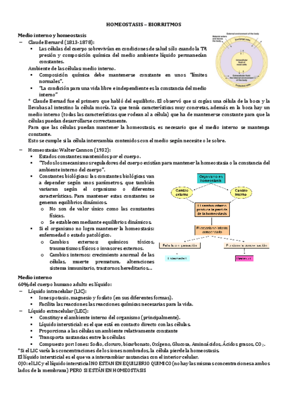 Miniatura del documento 1.-HOMEOSTASIS.pdf