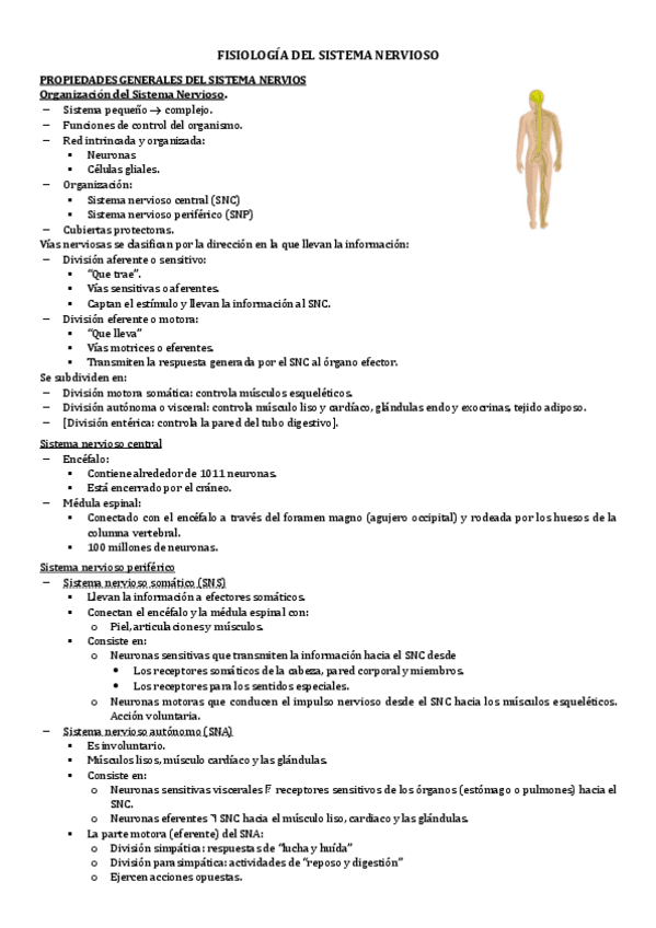 Miniatura del documento 2.1-FISIOLOGIA-DEL-SISTEMA-NERVIOSO.pdf