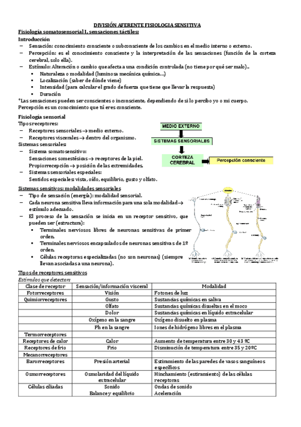 Miniatura del documento 2.2-FISIOLOGIA-DEL-SISTEMA-NERVIOSO.pdf