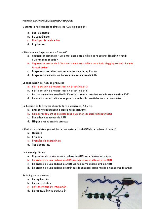 Miniatura del documento Examen-global-genetica-2020-21.pdf