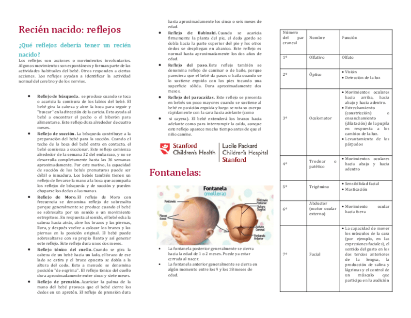 Miniatura del documento Reflejos-del-recien-nacido.pdf