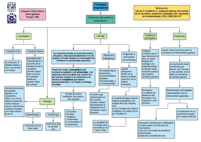 Miniatura del documento Mapa-Conceptual-De-Fisiologia-Respiratoria.pdf