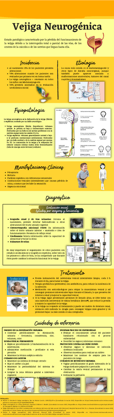 Miniatura del documento Vejiga Neurogénica infografía.pdf