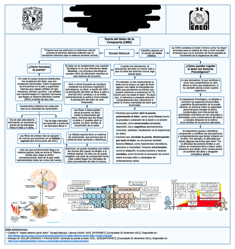 Miniatura del documento Teoría del Dolor de la Compuerta 1965 Mapa.pdf