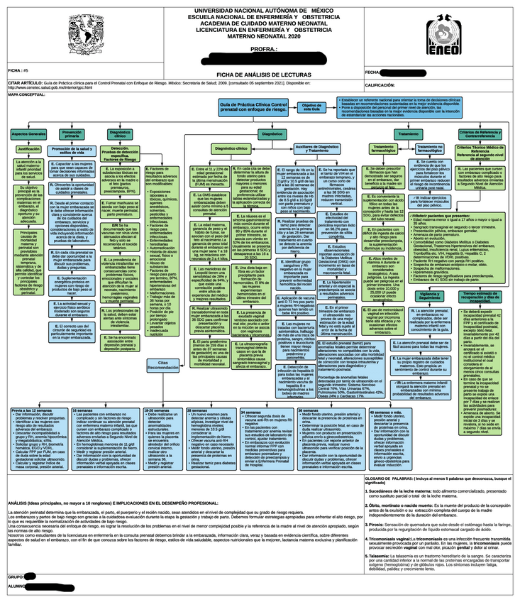 Miniatura del documento GPC control prenatal con enfoque de riesgo.pdf